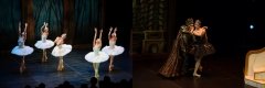 [通達節目] 香港芭蕾舞團 輕輕鬆鬆睇芭蕾：《天鵝湖》篇